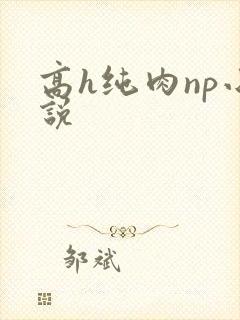 高h纯肉np小说