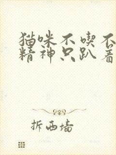 猫咪不吃不喝没精神只趴着怎么办