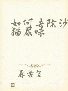 如何去除沙发上猫尿味