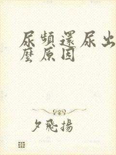 尿频还尿出血什么原因