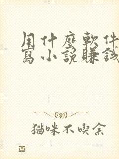 用什么软件可以写小说赚钱