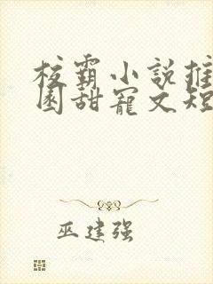 校霸小说推荐校园甜宠文短篇