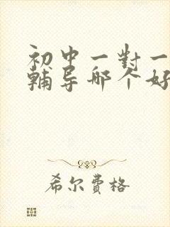 初中一对一数学辅导哪个好