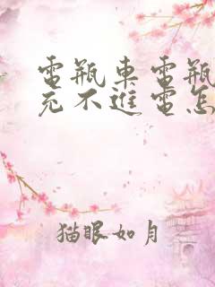 电瓶车电瓶亏电充不进电怎么修复