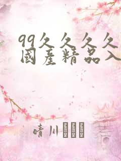 99久久久久久国产精品入口