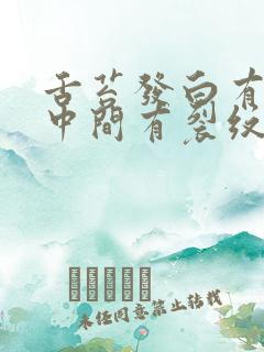 舌苔发白有齿痕中间有裂纹怎么回事吃什么药