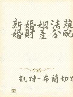 新婚姻法规定离婚财产分配