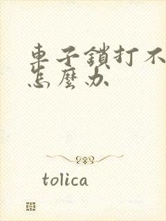 车子锁打不开了怎么办