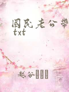 国民老公带回家 txt
