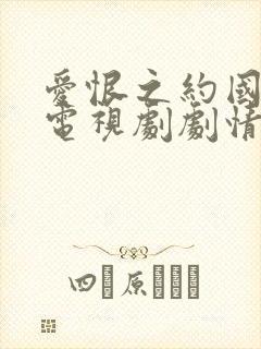 爱恨之约国语版电视剧剧情