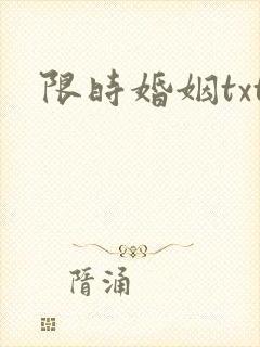 限时婚姻txt