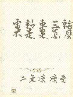 电动车三轮有电不走是怎么回事