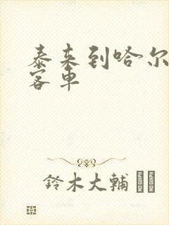 泰来到哈尔滨大客车