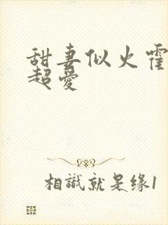 甜妻似火霍爷他超爱