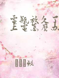 电瓶放久了充不上电怎么办