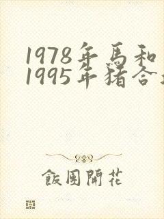 1978年马和1995年猪合适吗