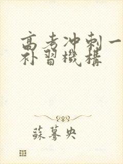 高考冲刺一对一补习机构