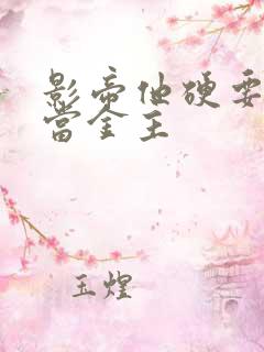 影帝他硬要让我当金主