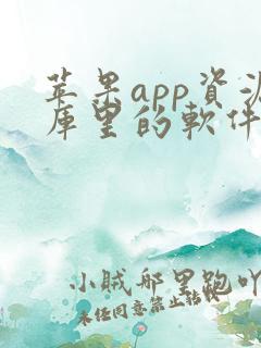 苹果app资源库里的软件如何隐藏