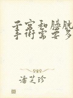 子宫和膀胱脱垂手术需要多少钱