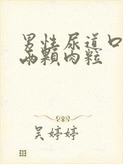 男性尿道口长了两颗肉粒