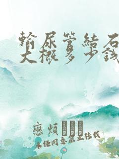 输尿管结石治疗大概多少钱