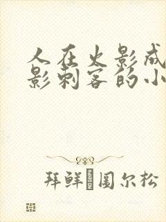 人在火影成为暗影刺客的小说