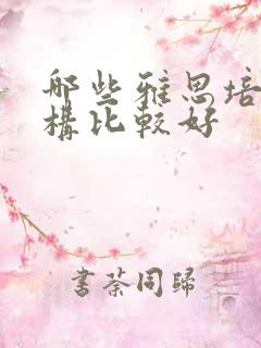 哪些雅思培训机构比较好