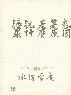 膀胱老是感觉有尿什么原因