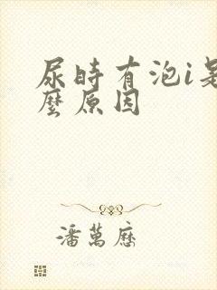 尿时有泡i是什么原因