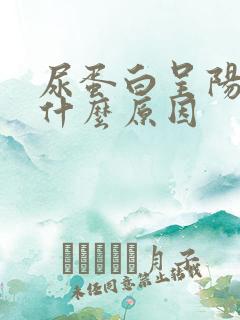 尿蛋白呈阳性是什么原因