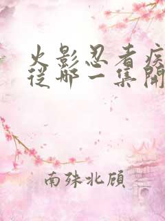 火影忍者疾风传从哪一集开始