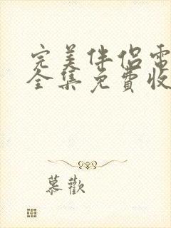 完美伴侣电视剧全集免费收看