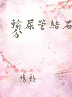 输尿管结石2公分