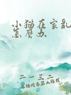 小猫在家乱撒尿怎么办