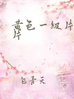 黄色一级片,大片