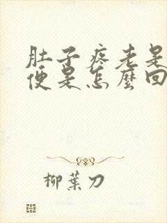 肚子疼老是上大便是怎么回事