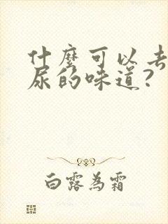 什么可以去除狗尿的味道?