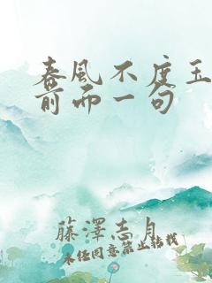 春风不度玉门关前面一句