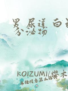 男 尿道 白色 分泌物