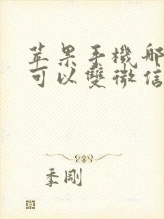 苹果手机哪一款可以双微信双开