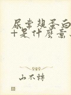 尿常规蛋白质2+是什么意思