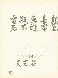 电瓶车长期不用充不进电怎么办