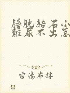 膀胱结石小便困难尿不出怎么办