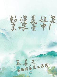 动漫义姐是不是良喂养中1