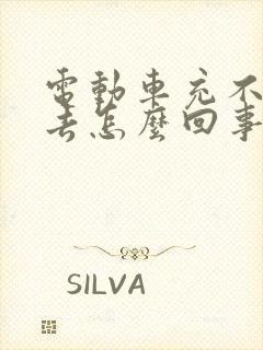 电动车充不进电去怎么回事