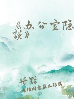 《办公室隐婚小说》