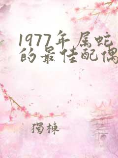 1977年属蛇的最佳配偶属相