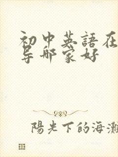 初中英语在线辅导哪家好