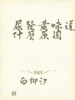 尿发黄味道重是什么原因